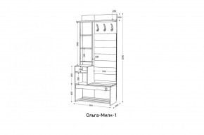 ОЛЬГА-МИЛК Прихожая (модульная) в Качканаре - kachkanar.mebel24.online | фото 2