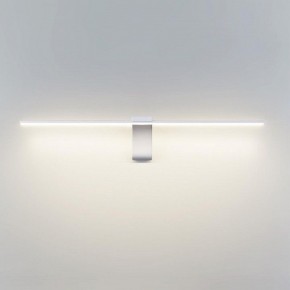 Подсветка для картины Odeon Light Tiny 7070/8WL в Качканаре - kachkanar.mebel24.online | фото 2