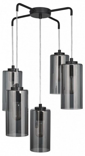 Подвесная люстра 33 идеи PND169S PND169S.05.17.001.BL-S16GR в Качканаре - kachkanar.mebel24.online | фото