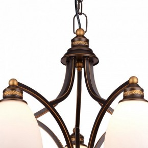 Подвесная люстра Arte Lamp Bonito A9518LM-5BA в Качканаре - kachkanar.mebel24.online | фото