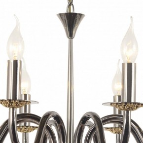 Подвесная люстра Arti Lampadari Pontone Pontone E 1.1.8 PB в Качканаре - kachkanar.mebel24.online | фото 3