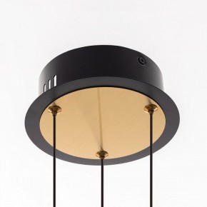 Подвесная люстра Citilux HELLY CL211042 в Качканаре - kachkanar.mebel24.online | фото 11