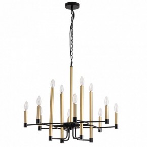 Подвесная люстра Divinare Lokki 2543/04 LM-12 в Качканаре - kachkanar.mebel24.online | фото 2
