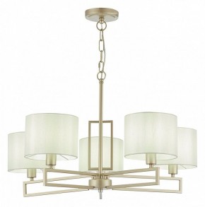 Подвесная люстра EVOLUCE Danae SLE105803-05 в Качканаре - kachkanar.mebel24.online | фото 2