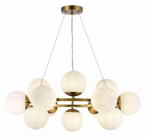 Подвесная люстра EVOLUCE Fratta SLE1191-203-12 в Качканаре - kachkanar.mebel24.online | фото 3