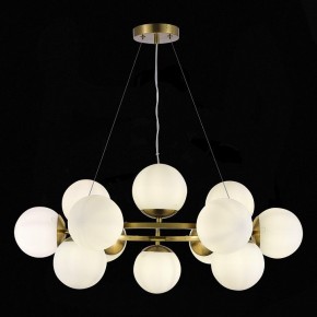 Подвесная люстра EVOLUCE Fratta SLE1191-203-12 в Качканаре - kachkanar.mebel24.online | фото 4