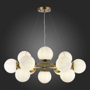 Подвесная люстра EVOLUCE Fratta SLE1191-203-12 в Качканаре - kachkanar.mebel24.online | фото 5