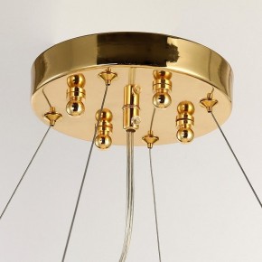 Подвесная люстра Favourite Inventio 2754-10P в Качканаре - kachkanar.mebel24.online | фото 6