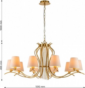 Подвесная люстра Favourite Ketten 2867-10P в Качканаре - kachkanar.mebel24.online | фото 4
