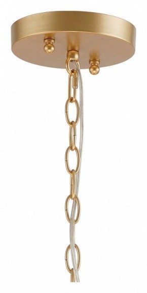 Подвесная люстра Favourite Mateo 2634-8P в Качканаре - kachkanar.mebel24.online | фото 12
