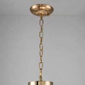 Подвесная люстра Favourite Rocca 2689-6P в Качканаре - kachkanar.mebel24.online | фото 4
