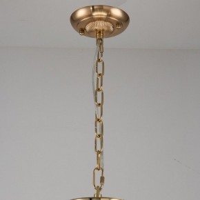 Подвесная люстра Favourite Rocca 2689-9P в Качканаре - kachkanar.mebel24.online | фото 2