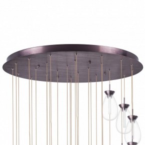 Подвесная люстра Lightstar Colore 805289 в Качканаре - kachkanar.mebel24.online | фото 6