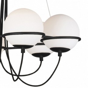 Подвесная люстра Lightstar Globo 803267 в Качканаре - kachkanar.mebel24.online | фото 5