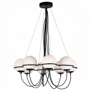 Подвесная люстра Lightstar Globo 803287 в Качканаре - kachkanar.mebel24.online | фото 3