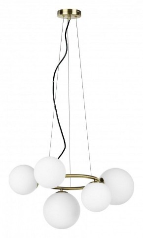 Подвесная люстра Lightstar Globo 815051 в Качканаре - kachkanar.mebel24.online | фото 2
