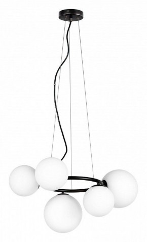 Подвесная люстра Lightstar Globo 815057 в Качканаре - kachkanar.mebel24.online | фото 2
