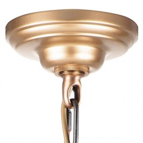 Подвесная люстра Lightstar Perla 707081 в Качканаре - kachkanar.mebel24.online | фото 6