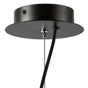 Подвесная люстра Lightstar Ragno 733247 в Качканаре - kachkanar.mebel24.online | фото 9