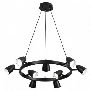 Подвесная люстра Lumion Ilmina 8237/9 в Качканаре - kachkanar.mebel24.online | фото 2