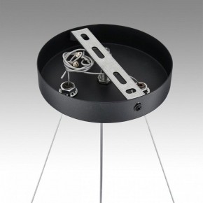 Подвесная люстра Lumion Luazana 8242/6 в Качканаре - kachkanar.mebel24.online | фото 7