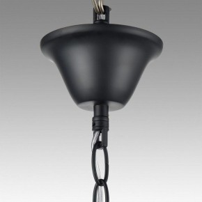 Подвесная люстра Lumion Nana 8106/6 в Качканаре - kachkanar.mebel24.online | фото 6