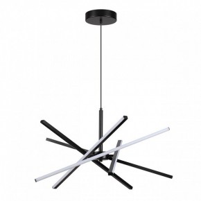 Подвесная люстра Lumion Parker 6563/60L в Качканаре - kachkanar.mebel24.online | фото 2