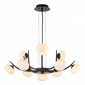 Подвесная люстра Lussole Blubber LSP-8937 в Качканаре - kachkanar.mebel24.online | фото 3