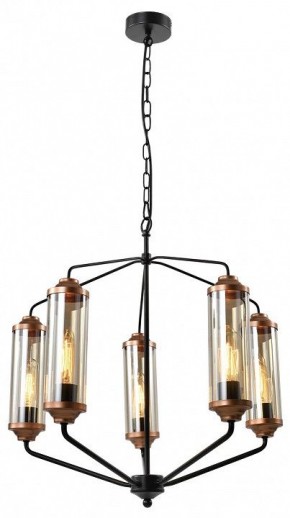 Подвесная люстра Lussole Fishers LSP-8800 в Качканаре - kachkanar.mebel24.online | фото 2