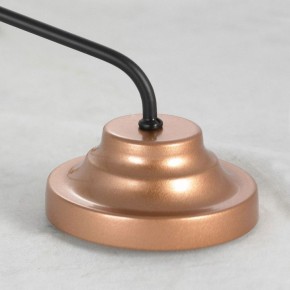 Подвесная люстра Lussole Fishers LSP-8800 в Качканаре - kachkanar.mebel24.online | фото 5