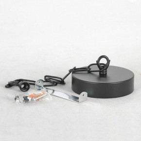 Подвесная люстра Lussole Fishers LSP-8800 в Качканаре - kachkanar.mebel24.online | фото 7