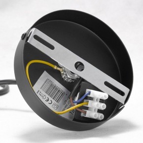 Подвесная люстра Lussole Kenner GRLSP-8271 в Качканаре - kachkanar.mebel24.online | фото 7