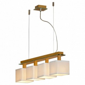Подвесная люстра Lussole Montone LSF-2503-04 в Качканаре - kachkanar.mebel24.online | фото 2