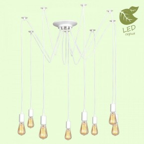 Подвесная люстра Lussole Shirley GRLSP-8173 в Качканаре - kachkanar.mebel24.online | фото 3