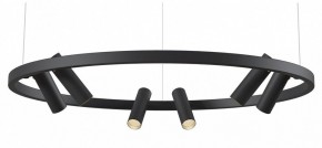 Подвесная люстра Maytoni Halo MOD102PL-L42BK в Качканаре - kachkanar.mebel24.online | фото