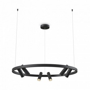 Подвесная люстра Maytoni Halo MOD102PL-L42BK в Качканаре - kachkanar.mebel24.online | фото 2