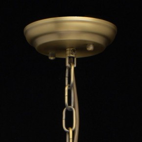 Подвесная люстра MW-Light Альгеро 3 285010703 в Качканаре - kachkanar.mebel24.online | фото 14