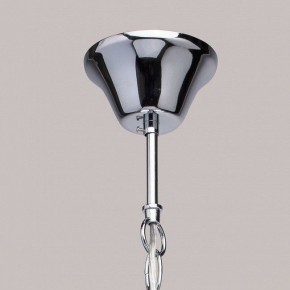 Подвесная люстра MW-Light Федерика 83 684010105 в Качканаре - kachkanar.mebel24.online | фото 14