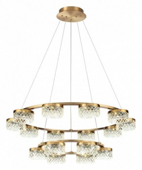 Подвесная люстра Odeon Light Fivre 5032/96L в Качканаре - kachkanar.mebel24.online | фото 2