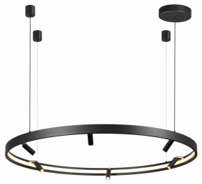 Подвесная люстра Odeon Light Fonda 4317/93L в Качканаре - kachkanar.mebel24.online | фото 4