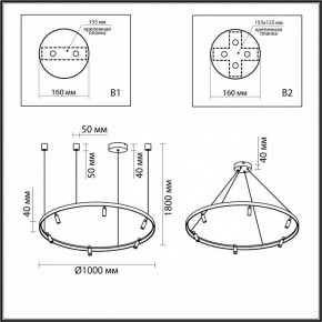 Подвесная люстра Odeon Light Fonda 4317/93L в Качканаре - kachkanar.mebel24.online | фото 6