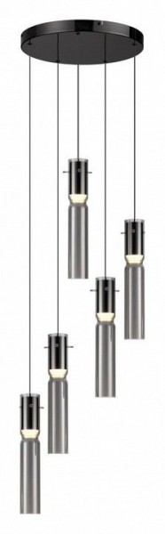 Подвесная люстра Odeon Light Scrow 5058/25L в Качканаре - kachkanar.mebel24.online | фото 2