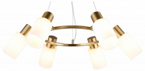 Подвесная люстра Omnilux Ales OML-69103-06 в Качканаре - kachkanar.mebel24.online | фото