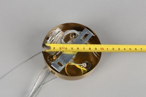 Подвесная люстра Omnilux Ales OML-69103-06 в Качканаре - kachkanar.mebel24.online | фото 11