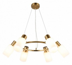 Подвесная люстра Omnilux Ales OML-69103-06 в Качканаре - kachkanar.mebel24.online | фото 2