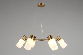 Подвесная люстра Omnilux Ales OML-69103-06 в Качканаре - kachkanar.mebel24.online | фото 4