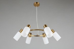 Подвесная люстра Omnilux Ales OML-69103-06 в Качканаре - kachkanar.mebel24.online | фото 5