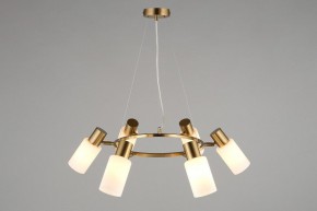 Подвесная люстра Omnilux Ales OML-69103-06 в Качканаре - kachkanar.mebel24.online | фото 6