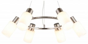 Подвесная люстра Omnilux Ales OML-69113-06 в Качканаре - kachkanar.mebel24.online | фото 2