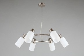 Подвесная люстра Omnilux Ales OML-69113-06 в Качканаре - kachkanar.mebel24.online | фото 4